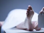 Tertimpa Pohon 10 Ton, Mahasiswi RI di Australia Meninggal Dunia