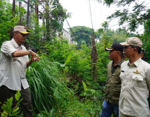 Pj Bupati Subang Tinjau Desa Tanjungrasa, Patokbeusi