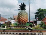 Ini 10 Besar Perolehan Suara Sementara Caleg DPRD Dapil Subang I