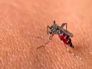 Sosialiasi Kurang Optimal, 8 Warga Subang Meninggal karena DBD