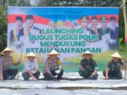 Kapolres Subang Turun ke Ladang: Sinergi Gugus Tugas Polri untuk Ketahanan Pangan Kapolres Subang Turun ke Ladang: Sinergi Gugus Tugas Polri untuk Ketahanan Pangan