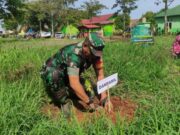 Danramil 0508/Purwadadi Tanam Pohon Sukun Serentak di Kecamatan Purwadadi dan Cikaum Danramil 0508/Purwadadi Tanam Pohon Sukun Serentak di Kecamatan Purwadadi dan Cikaum