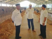 Kampung Susu Desa Ciater: Potensi Besar untuk Program Makan Bergizi Gratis di Subang Kampung Susu Desa Ciater: Potensi Besar untuk Program Makan Bergizi Gratis di Subang
