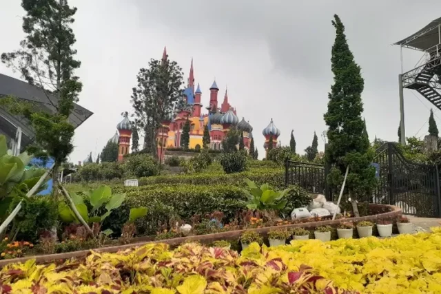 Rayakan Imlek 2025 di Flora Wisata Dâ€™Castello dengan Barongsai dan Angpao Gratis
