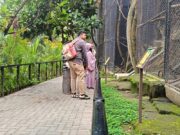 10 Aktivitas Seru untuk Keluarga Selama Liburan di Kota