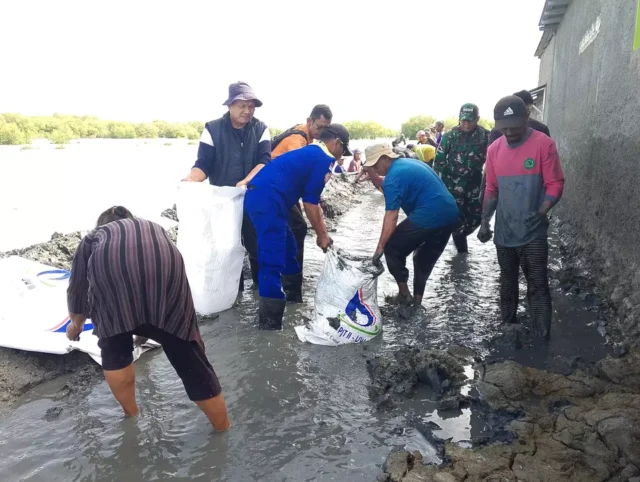 Banjir dan Rob Terjang Pantura Subang: Warga Berjuang, Pemerintah Siapkan Solusi