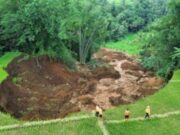 Sawah 7.000 Meter Persegi di Subang Ambles, Ini Penjelasan Badan Geologi