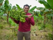 Muda dan Sukses! Inovasi Pemuda Subang Bangun Agrowisata Cerdas Berbasis Teknologi Muda dan Sukses! Inovasi Pemuda Subang Bangun Agrowisata Cerdas Berbasis Teknologi