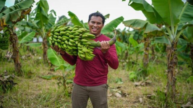 Muda dan Sukses! Inovasi Pemuda Subang Bangun Agrowisata Cerdas Berbasis Teknologi