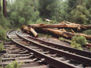 Dua Kereta Api Tertahan di Cipunagara, Ini Penyebabnya!