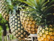 Dari Simbol Kemewahan Bangsawan Inggris, Kini Nanas Jadi Kebanggaan Subang