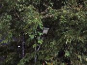 PJU Banyak yang Mati, Pj. Bupati Subang Turun Langsung Perintahkan Perbaikan! PJU Banyak yang Mati, Pj. Bupati Subang Turun Langsung Perintahkan Perbaikan!