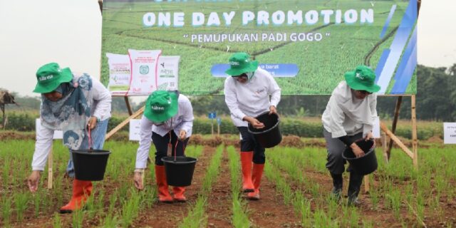 Pupuk Indonesia Dorong Produktivitas Petani Subang dengan Program Makmur