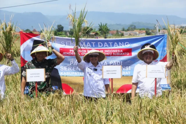 Panen Raya Serentak 2025