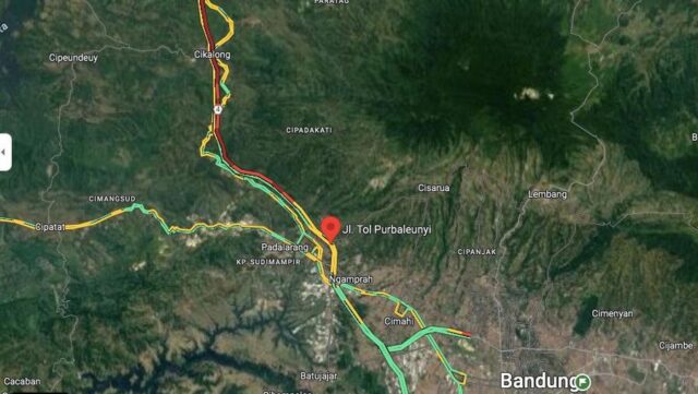 Google Maps bisnis palsu