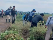 Aksi Bersih Irigasi di Subang, Kolaborasi Nyata Demi Kelestarian Air bersih-bersih irigasi Subang
