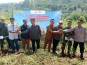 D’Castello Tanam 1000 Pohon, Wujud Nyata Cinta Lingkungan penanaman pohon D’Castello Subang