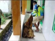 Mayat Pria Tanpa Identitas Ditemukan di Teras Masjid Mulyasari Mayat pria tanpa identitas di masjid Mulyasari