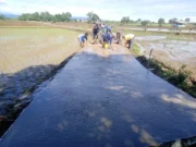 Cor Beton Jalan Usaha Tani Majasari: Kuatkan Akses, Dorong Ekonomi Petani cor beton jalan usaha tani Majasari