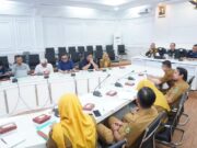 Subang Bersinergi: Akselerasi Proyek Strategis Lewat Kolaborasi dengan PTPN Kolaborasi Pemkab Subang dan PTPN I