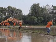 Langit Blanakan Penuh Warna: Festival Layangan Sawangan Bikin Libur Panjang Makin Ceria!