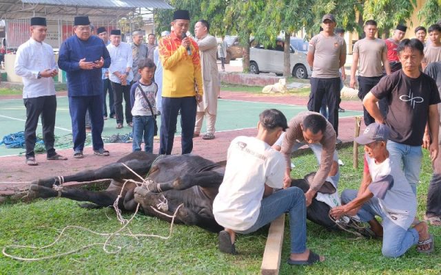 Polres Subang bagikan hewan kurban