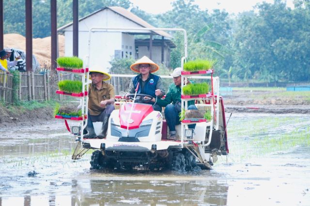 Contract Farming Subang 2025