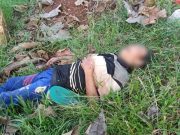 Tragis tapi Nyata: Lele yang Dicari, Ular yang Ditemui Pemancing lele dipatuk ular Subang