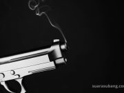 Drama Rawa-Rawa Subang: Mau Ditolong, Eh Malah Nunjuk-nunjuk Pistol! suarasubang.com