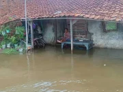 Subang Kembali Terendam: Rob Datang, Warga Pasrah, Tembok Ombak Masih Wacana banjir rob Subang