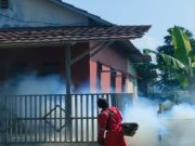 Subang Darurat DBD: 601 Kasus, 6 Nyawa Melayang, 1 Balita Jadi Korban kasus DBD Subang 2025