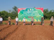 Jagung Serentak, Semangat Kompak! Polres Subang Ikut Tancap Gas Wujudkan Swasembada Pangan 2025 Penanaman jagung serentak Polres Subang