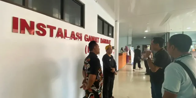 penyakit terbanyak IGD RSUD Subang