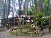 Warung Pinus Subang: Liburan Santai di Tengah Hutan, Nongkrong Rasa Staycation Warung Pinus Subang
