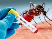 Kasus DBD di Subang Meningkat, 6 Meninggal Dunia Kasus DBD Subang 2025