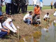 Taspen Tanam 1.175 Mangrove di Subang, Perkuat Komitmen Lingkungan dan Hadapi Abrasi Taspen tanam mangrove di Subang