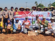 Polwan Polres Subang Tanam Jagung untuk Ketahanan Pangan Polwan Polres Subang tanam jagung ketahanan pangan