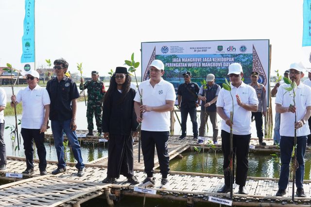 Hari Mangrove Sedunia Subang 2025