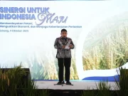 Festival Panen Raya Komunitas 10 Ton di Subang: Kang Rey Janjikan BPJS Ketenagakerjaan untuk Petani Tahun 2026 Festival Panen Raya Komunitas 10 Ton