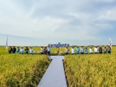 Festival Panen Raya Subang: Kolaborasi Syngenta dan Pemkab Sukses Dongkrak Produksi Padi Dua Kali Lipat Festival Panen Raya Subang