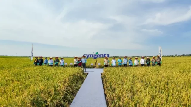 Festival Panen Raya Subang