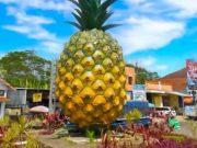 Jalancagak: Di Atas Awan Subang, Cerita yang Menyejukkan Kecamatan Jalancagak Kabupaten Subang