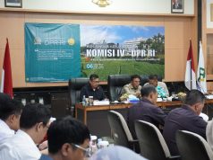 Wabup Subang Ajak DPR RI “Collab” Demi Jaga Lumbung Padi Ketahanan Pangan Subang