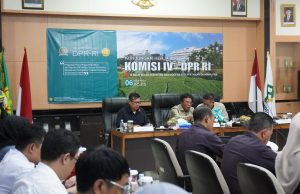 Wabup Subang Ajak DPR RI “Collab” Demi Jaga Lumbung Padi Ketahanan Pangan Subang