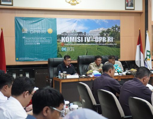 Wabup Subang Ajak DPR RI “Collab” Demi Jaga Lumbung Padi Ketahanan Pangan Subang