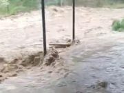 Air Sungai Meluap di Cisalak, Warga Subang Sempat Panik: Polisi Pastikan Bukan Banjir Bandang Air Sungai Meluap Subang