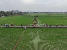 7 Desa Wisata Baru di Subang Siap Memikat Pelancong, dari Danau hingga Kebun Karet Desa wisata baru di Subang