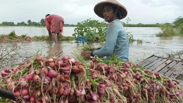 Harga sayur Pasar Baru Subang