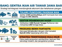 Genjot Ekonomi Rakyat, Dinas Perikanan Subang Perkuat Sektor Ikan Air Tawar Pemberdayaan pembudidaya ikan Subang