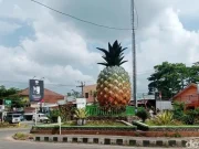 Menilik Asal-Usul Subang: Dari Legenda Anjing Merah hingga Nyimas Subang Larang asal-usul Subang